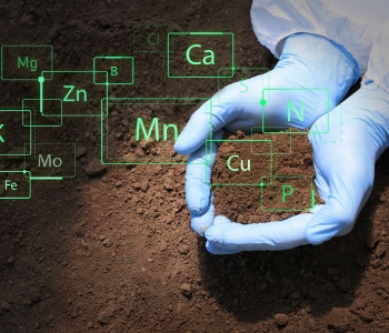 soil testingk